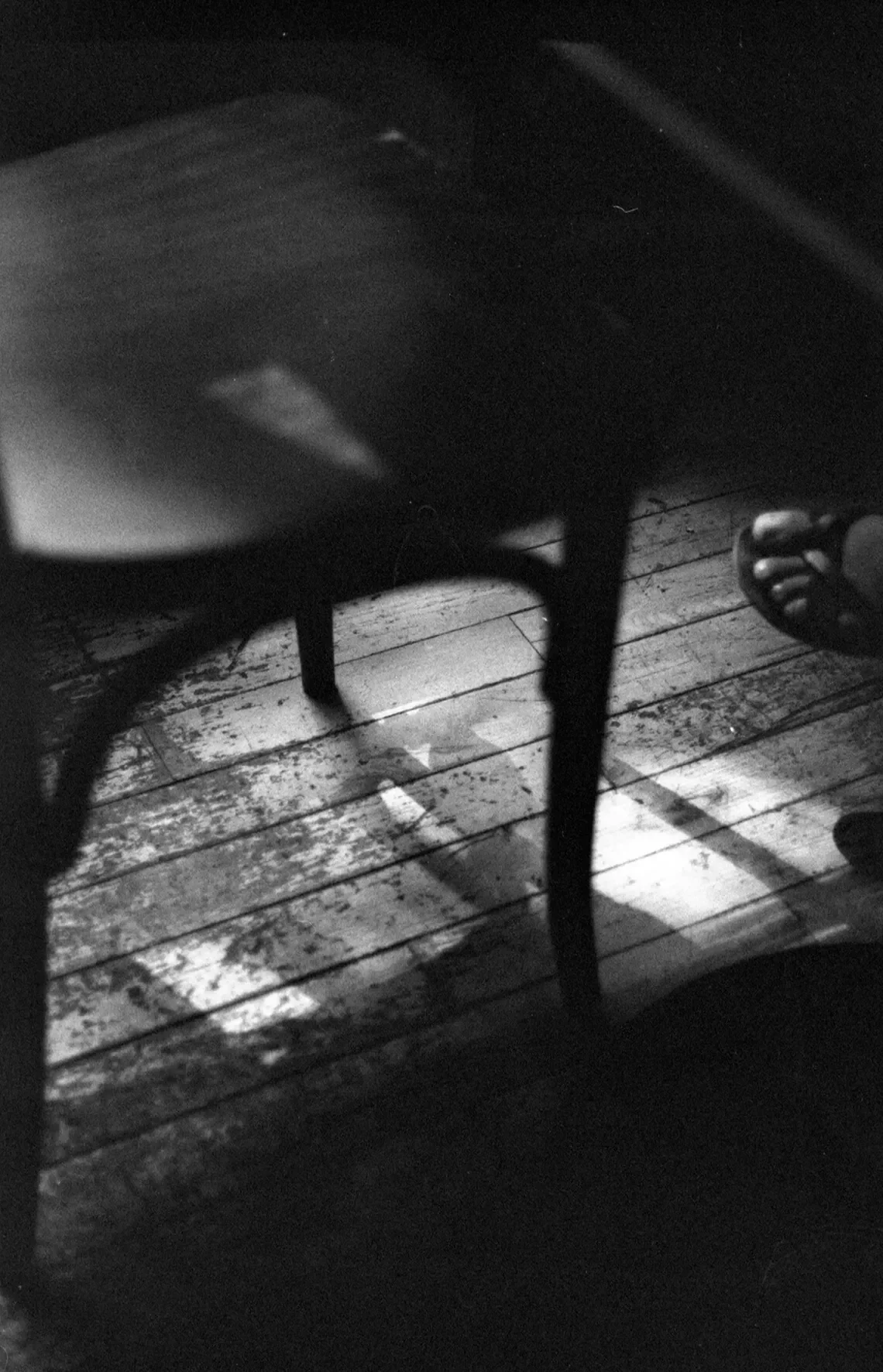 Filmová fotografia vyvolaná v Caffenole (© Veronika Nöhrer)