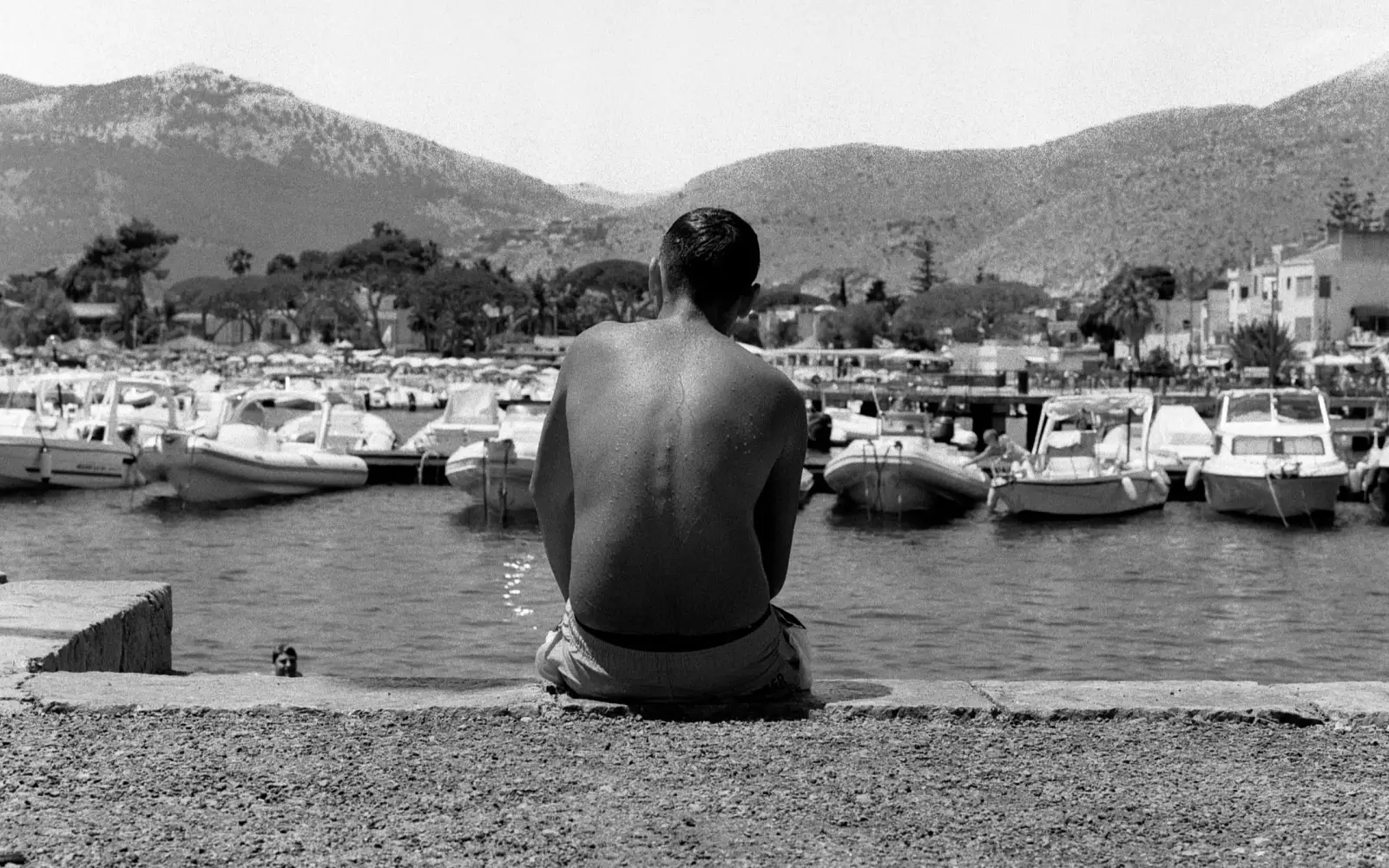 Fomapan 400 Action: Môj najobľúbenejší čiernobiely film