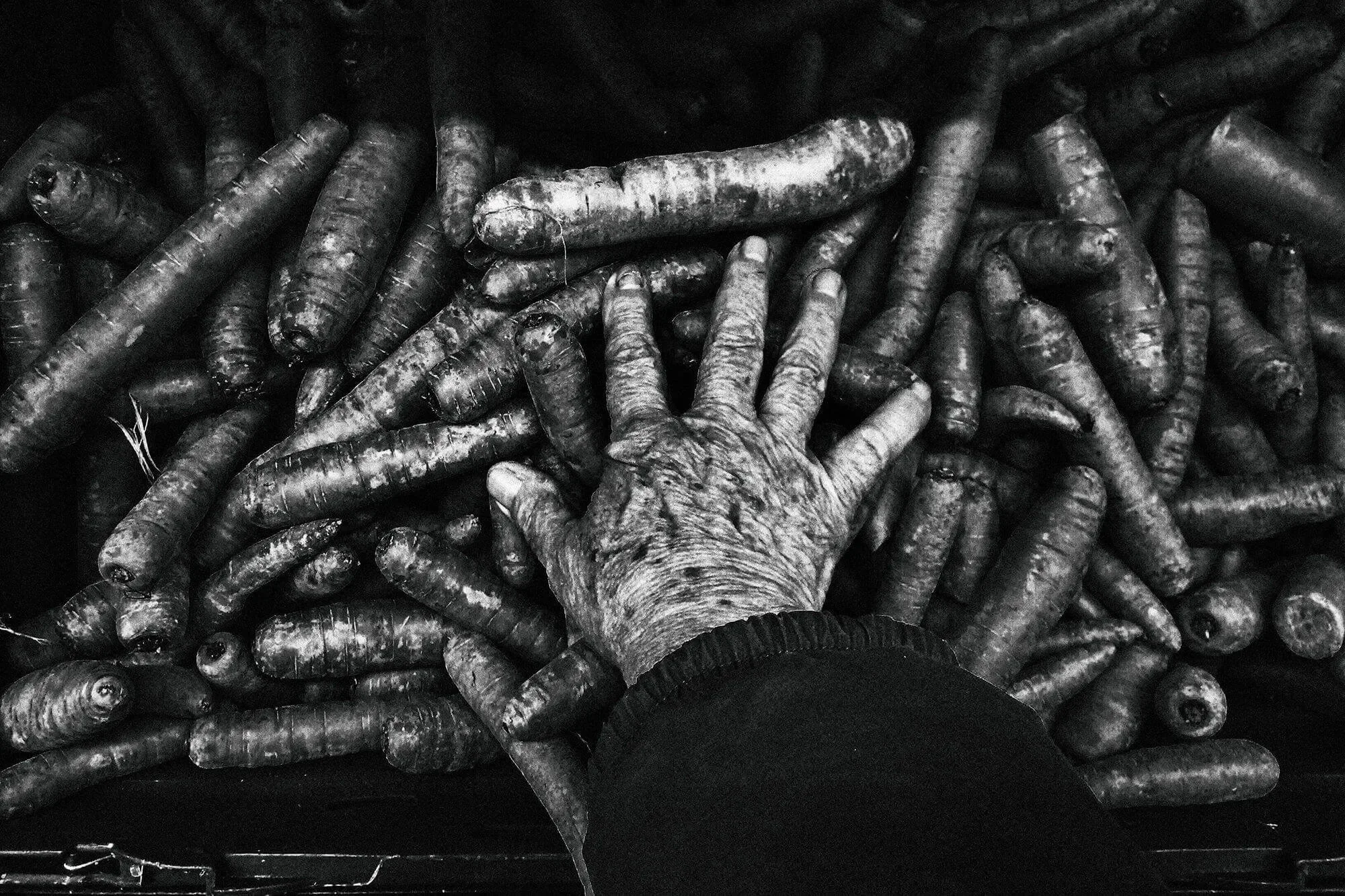 Čiernobiela fotografia Mareka Pupáka (Leica M6, Ilford XP2)