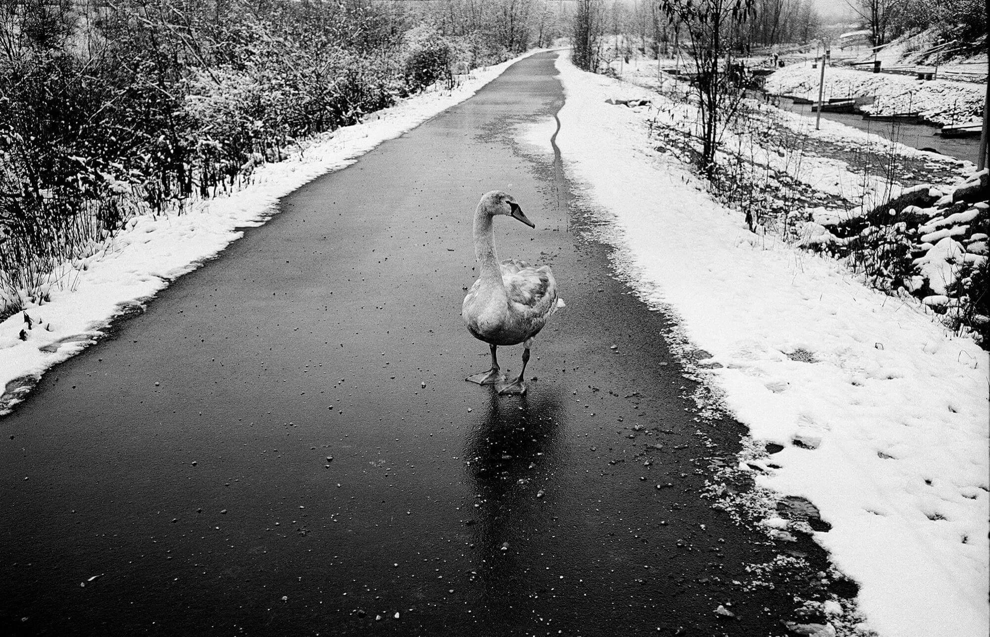 Filmová fotografia Mareka Pupáka nasnímaná na jeho obľúbený film