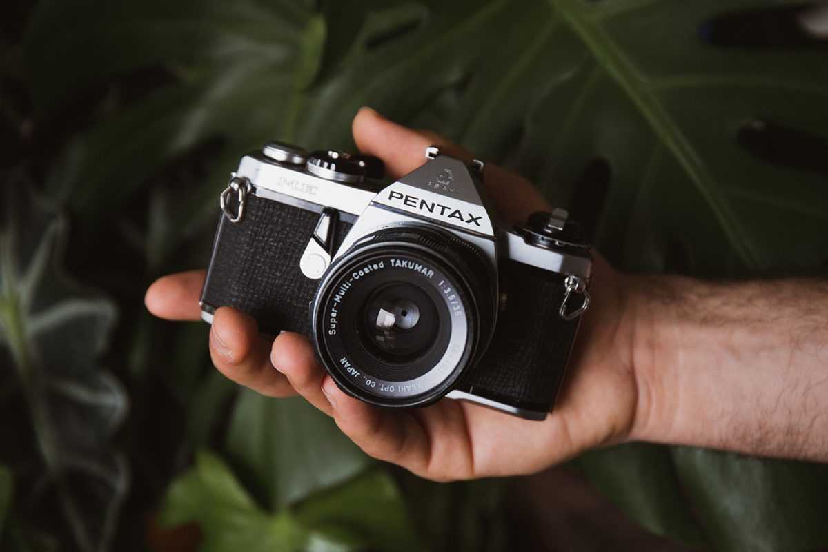 pentax me fotimnafilm plants